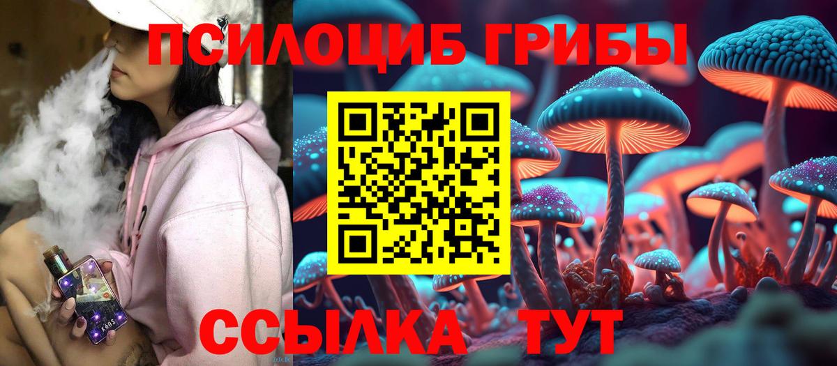 где продают наркотики  Галлюциногенные грибы GOLDEN TEACHER  Вход с VPN  Печора  Псилоцибиновые грибы прущие грибы 