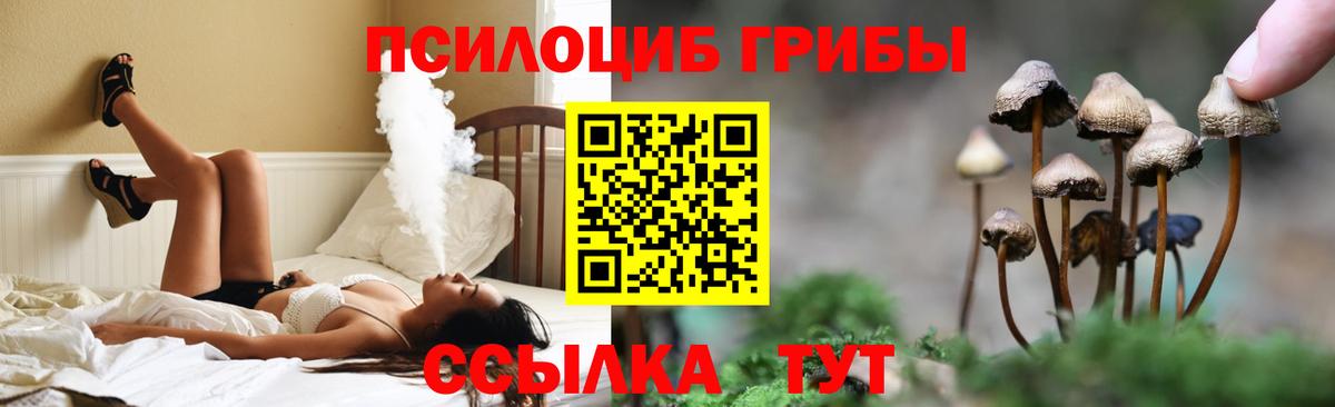 Галлюциногенные грибы GOLDEN TEACHER Печора
